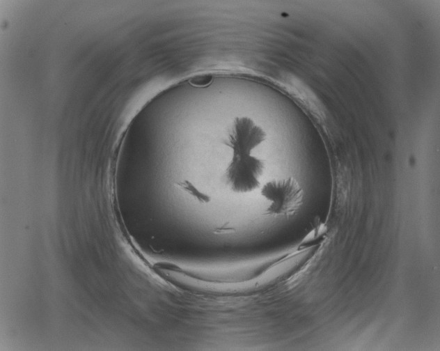 X0000065971382200603101346