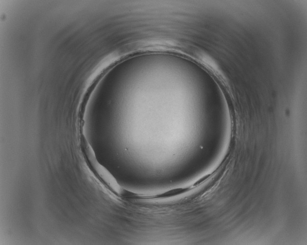 X0000065971384200603101346