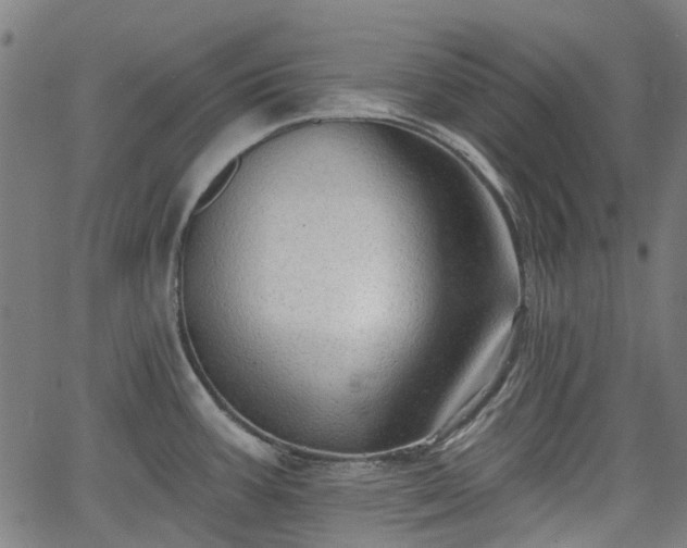 X0000065971387200603101346