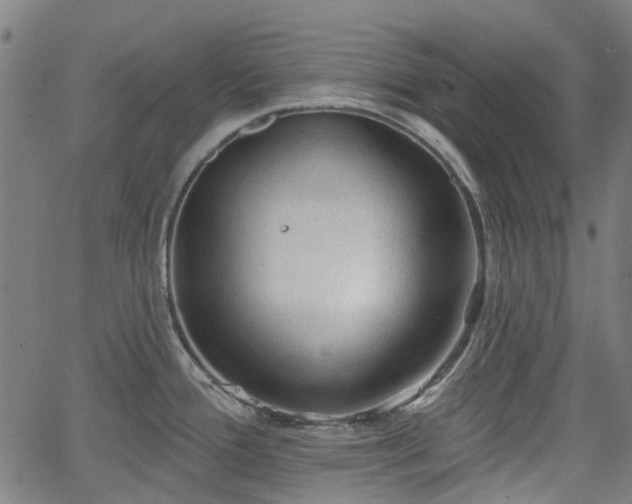 X0000065971388200603101346