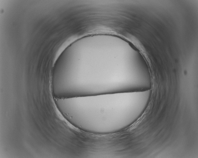 X0000065971390200603101346