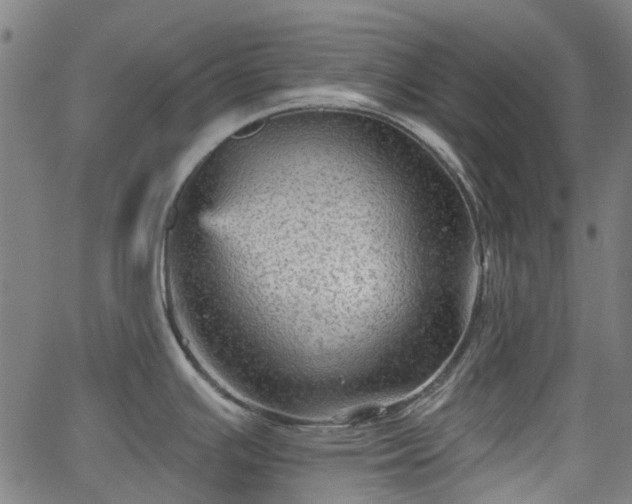 X0000065971391200603101346