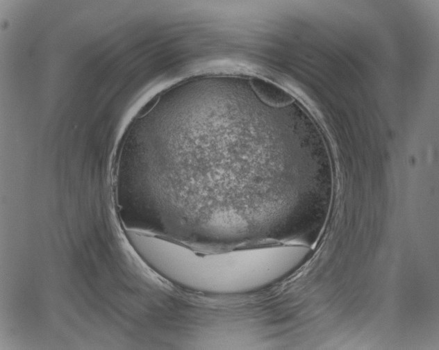 X0000065971392200603101346