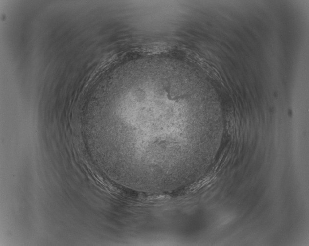 X0000065971393200603101345