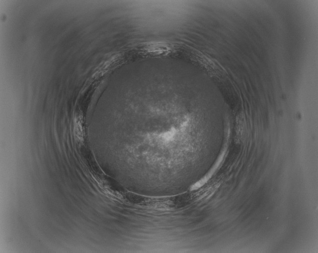 X0000065971394200603101345