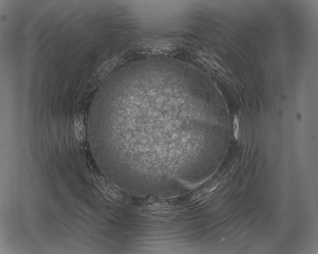 X0000065971395200603101345