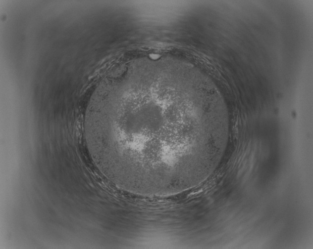 X0000065971397200603101345