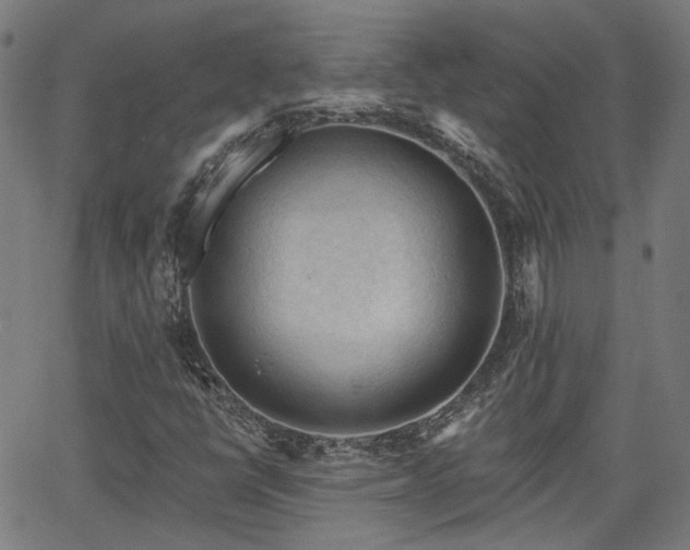 X0000065971398200603101345