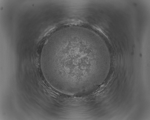 X0000065971399200603101345