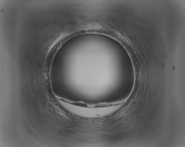 X0000065971400200603101345