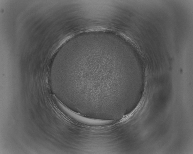 X0000065971401200603101345