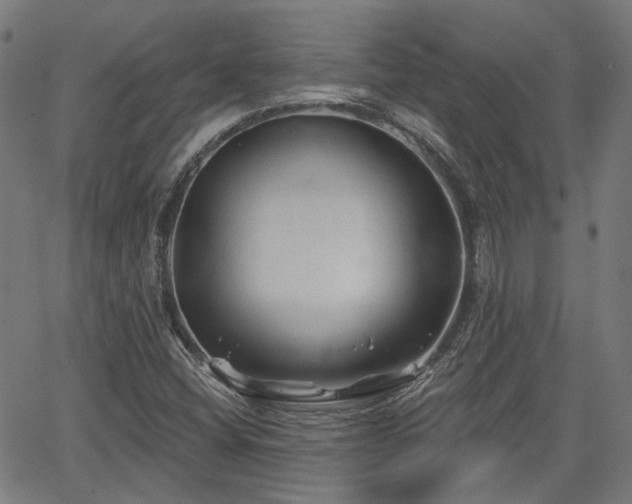 X0000065971404200603101346