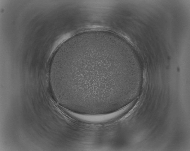 X0000065971405200603101346