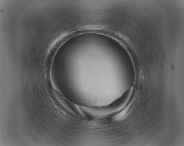 X0000065971406200603101346