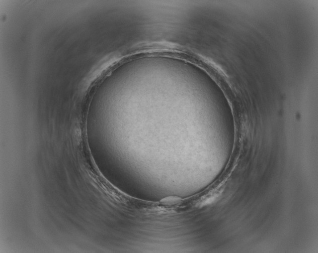 X0000065971407200603101346