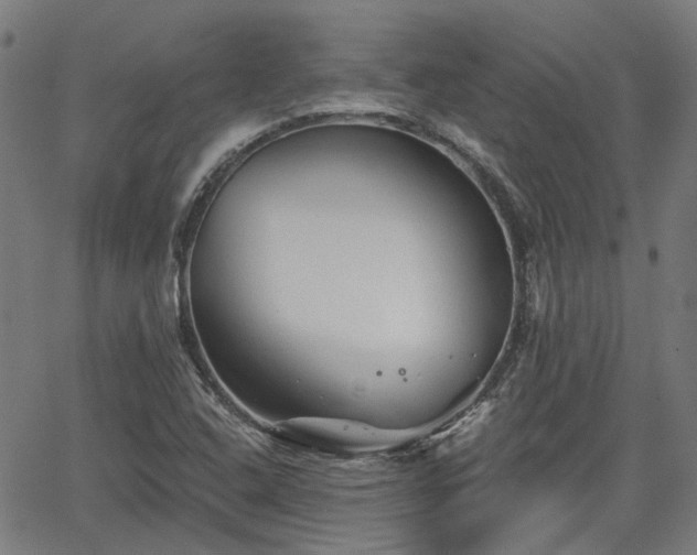 X0000065971408200603101346