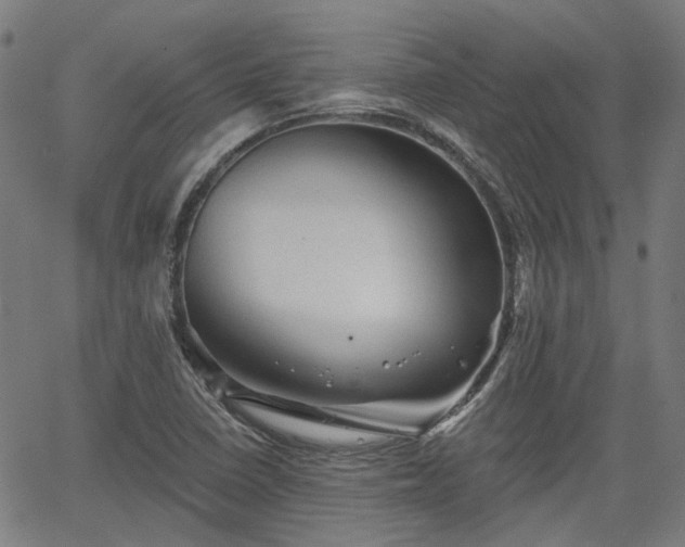 X0000065971410200603101346