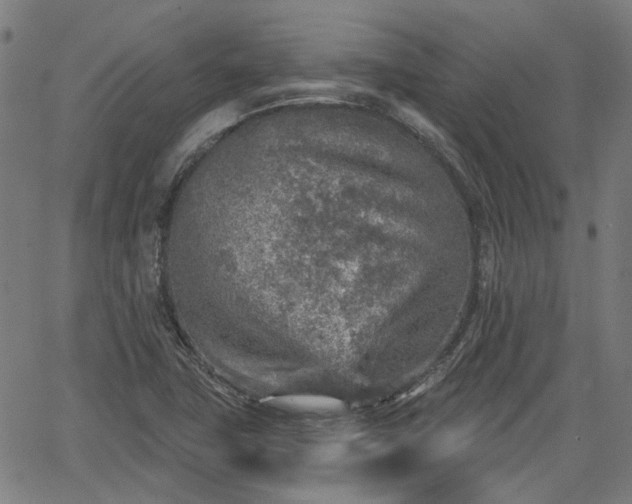 X0000065971411200603101346