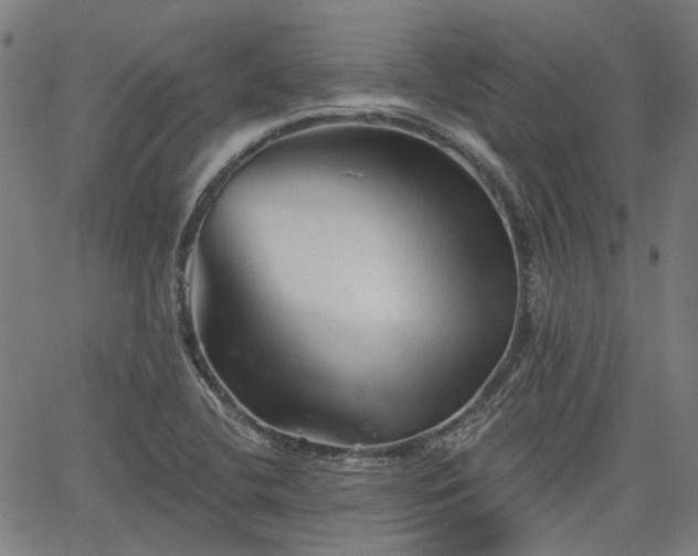 X0000065971412200603101346