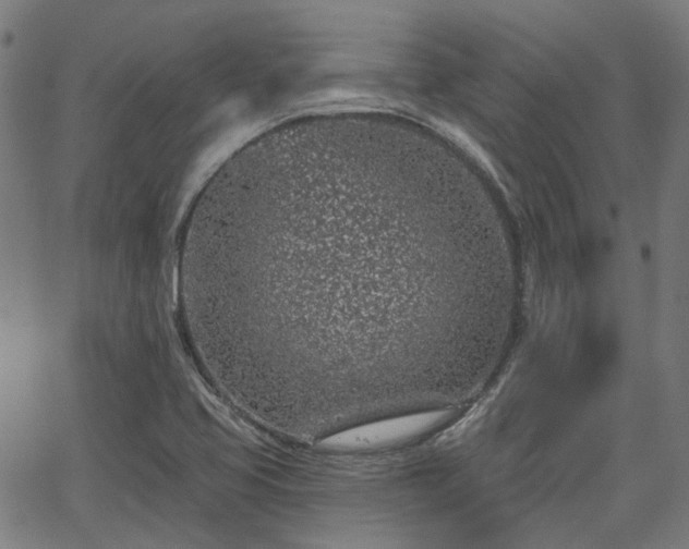 X0000065971413200603101346