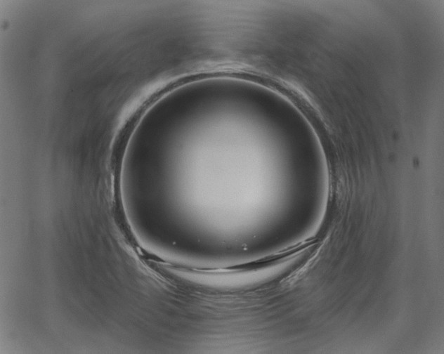 X0000065971414200603101346