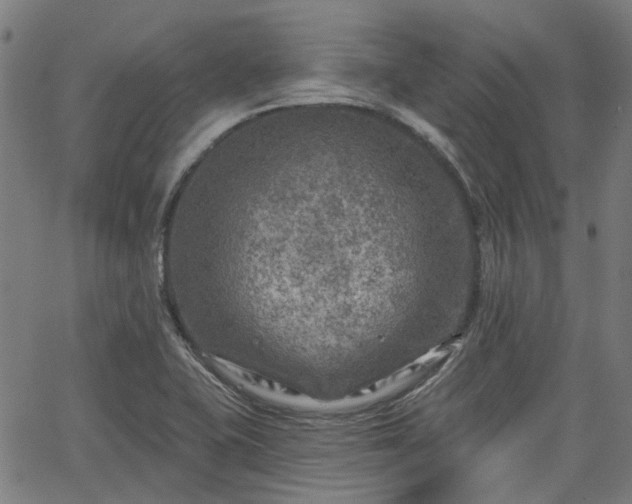 X0000065971415200603101346