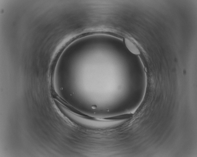 X0000065971416200603101346