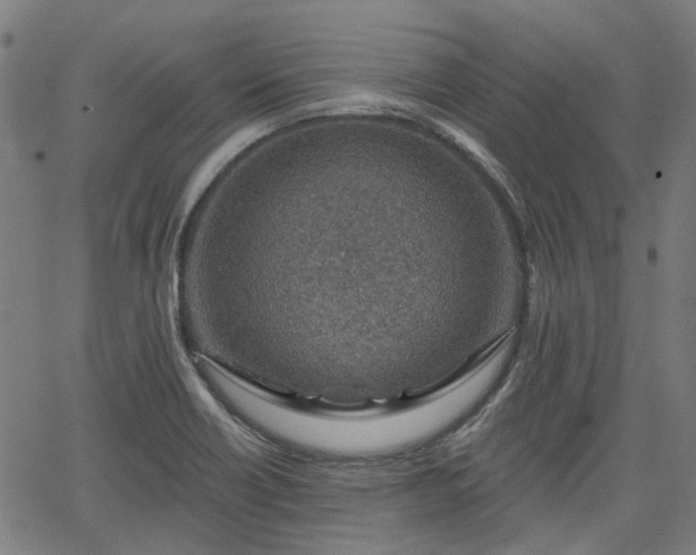 X0000065971418200603101346