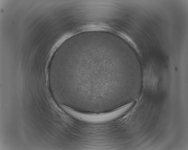 X0000065971419200603101346