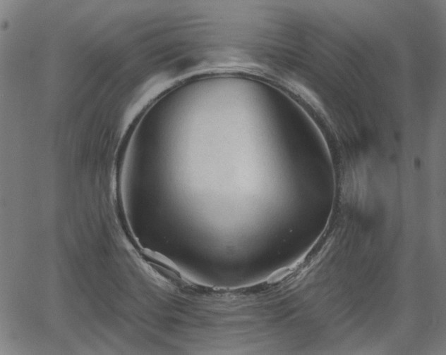 X0000065971420200603101346