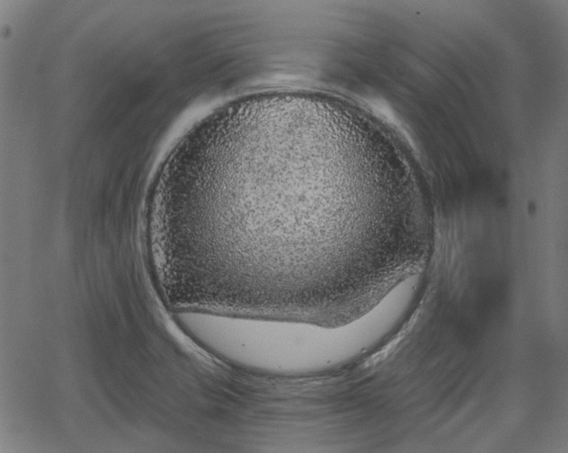 X0000065971421200603101346