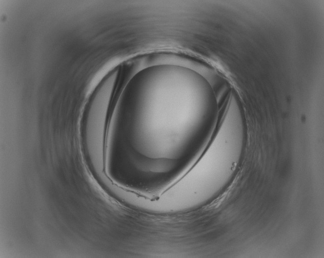 X0000065971422200603101346