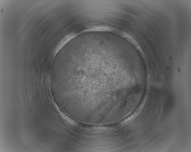 X0000065971425200603101346