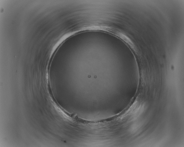 X0000065971428200603101346