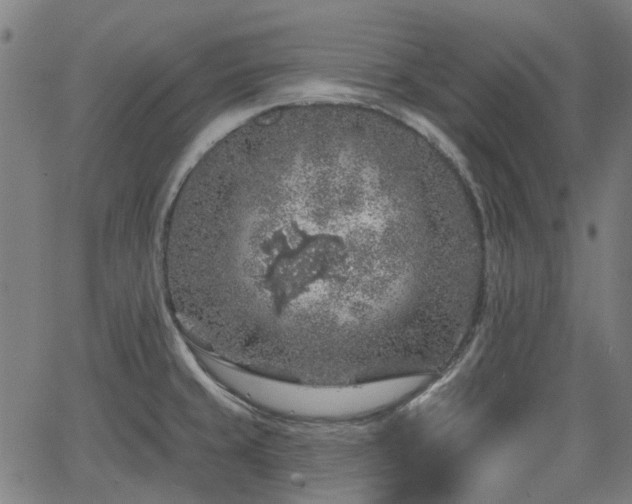 X0000065971429200603101346