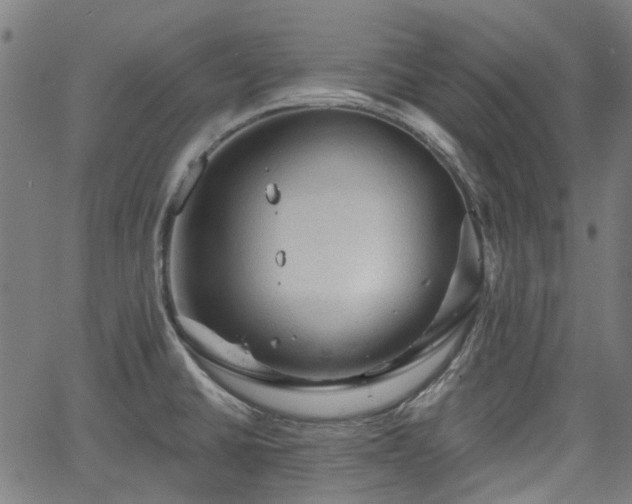 X0000065971430200603101346