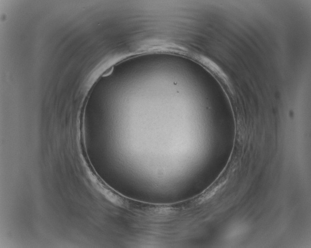 X0000065971431200603101346