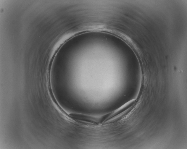 X0000065971432200603101346