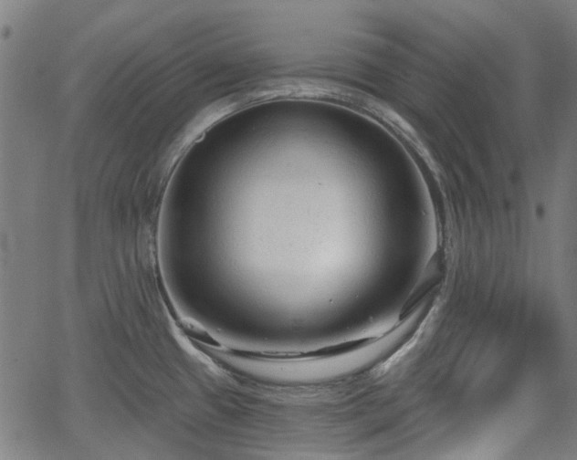 X0000065971433200603101346