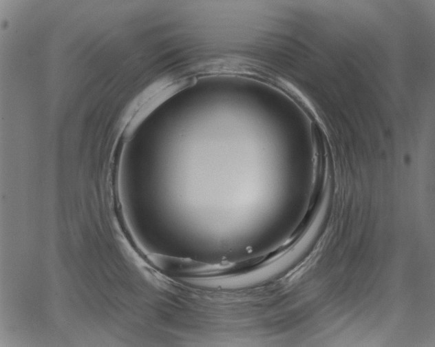 X0000065971434200603101346