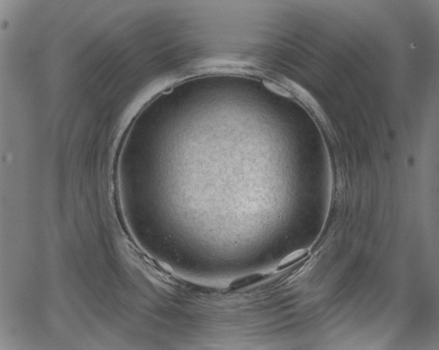 X0000065971435200603101346