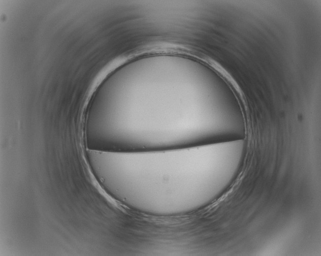 X0000065971437200603101346