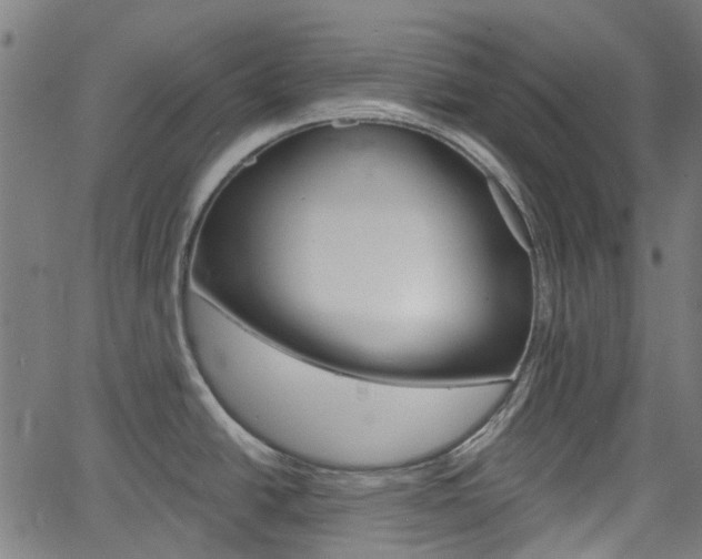 X0000065971438200603101346