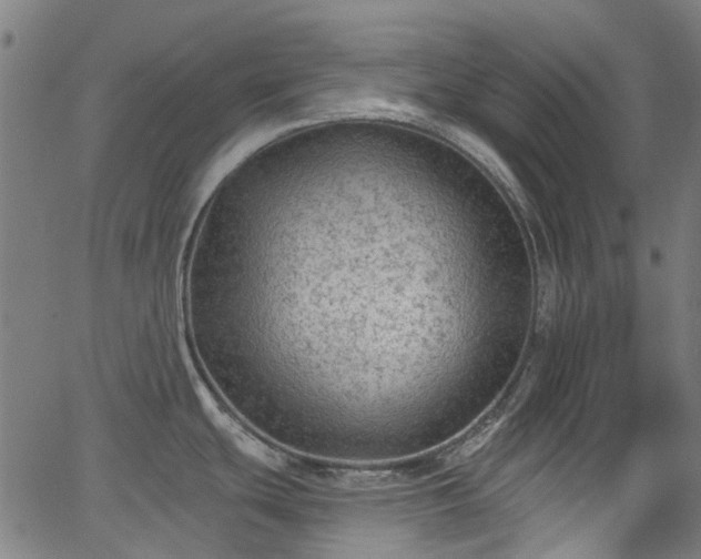 X0000065971439200603101346