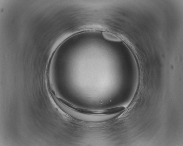 X0000065971440200603101346