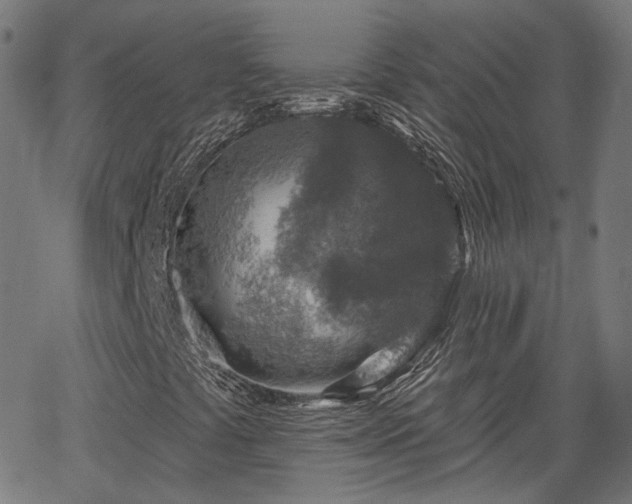 X0000065971441200603101345