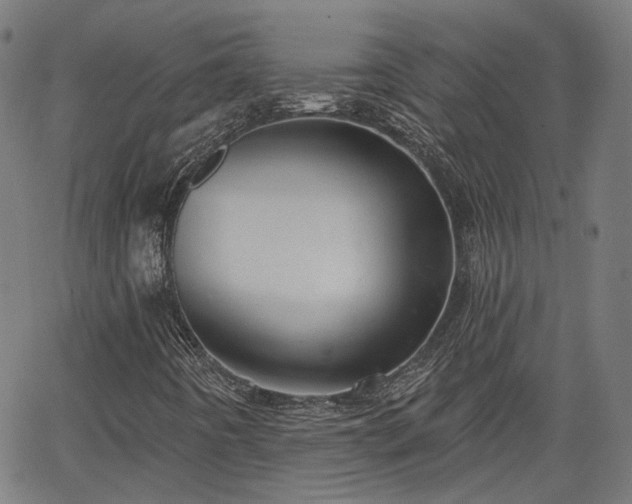 X0000065971442200603101345