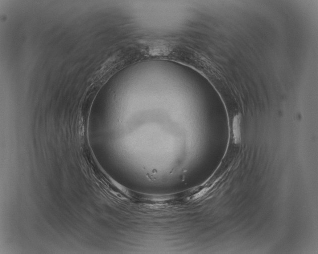 X0000065971443200603101345