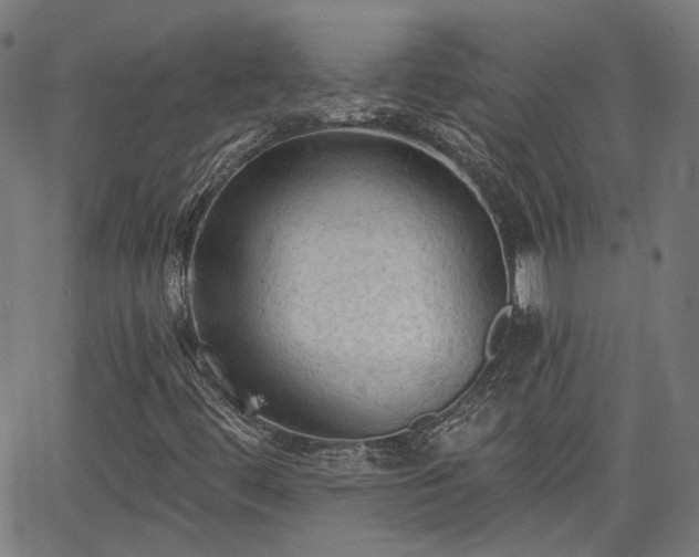 X0000065971444200603101345