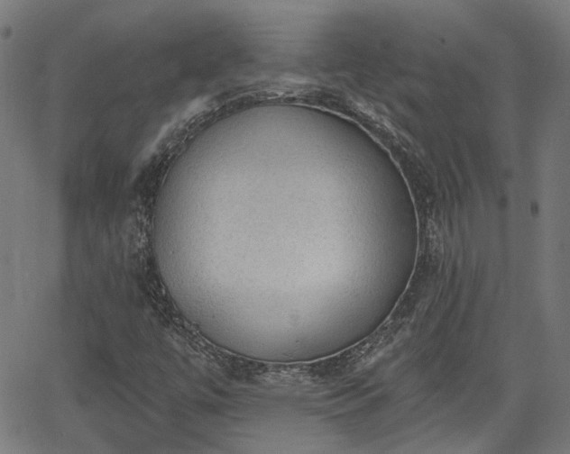 X0000065971447200603101345